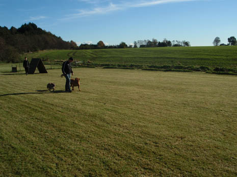 Playtime at the training field ;o)