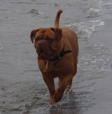 Yolene on the beach