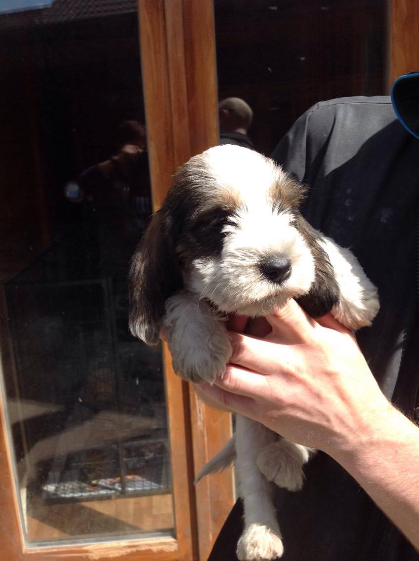 13646904 1099665496767570 1868047572 o